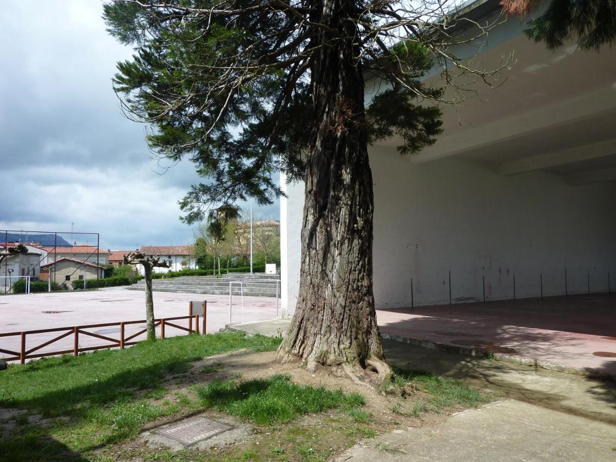 Apartamentos Rurales Imaz Etxea - Urbasa Olazagutía Стая снимка